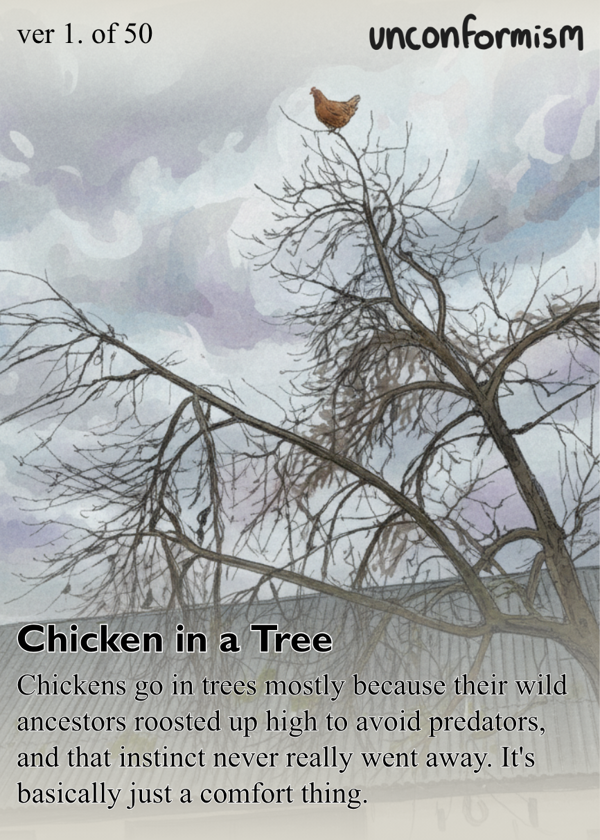 Card 001